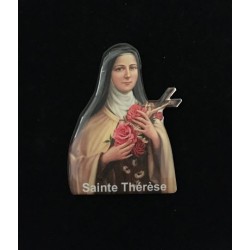 MAGNET THERESE SOUPLE